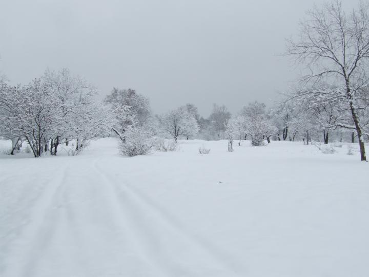 2007-Зима в парке