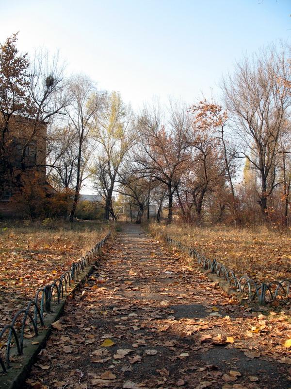 Дорожка во дворе школы